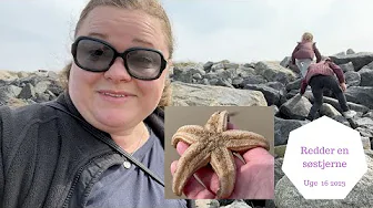 VI REDDER EN SØSTJERNE