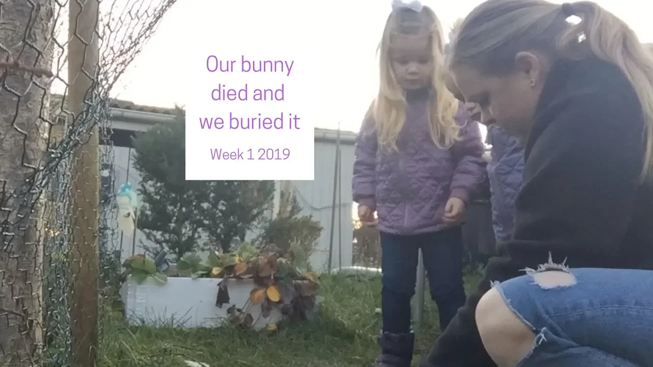 Our Bunny Died and we Buried it