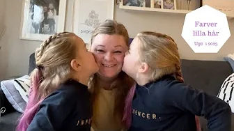 PIGER FÅR FARVET DERES HÅR LILLA