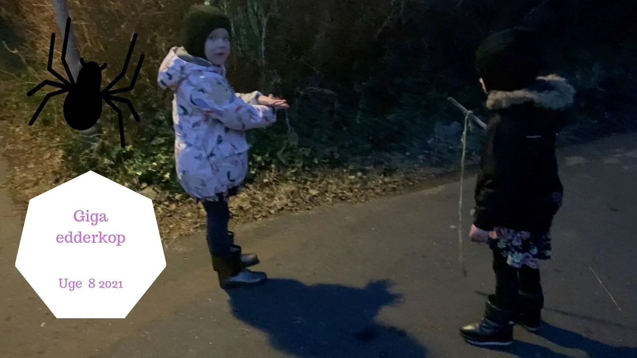 SKYGGE DYR - GÅTURE MED COCO