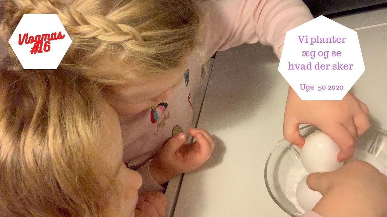 VI PLANTER ÆG OG SE HVAD DER SKER - VI HAR TOTAL JULE KREA DAG HELE DAGEN