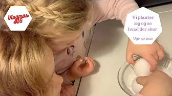VI PLANTER ÆG OG SE HVAD DER SKER - VI HAR TOTAL JULE KREA DAG HELE DAGEN