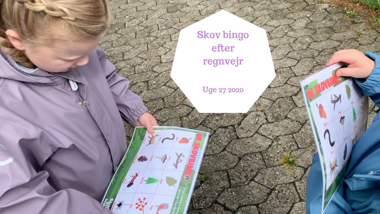 SKOV BINGO EFTER REGNVEJR