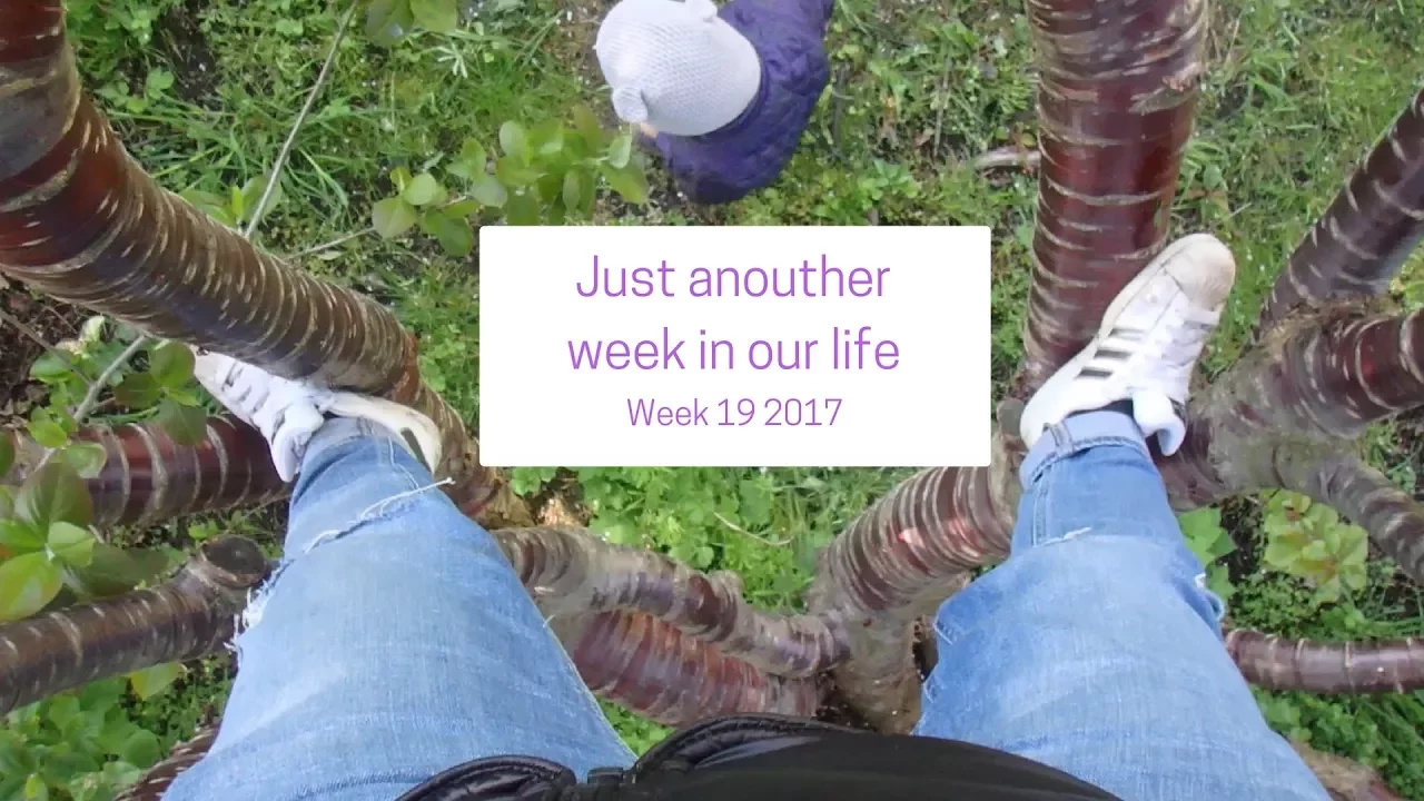 Just another week in our life