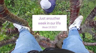 Just another week in our life