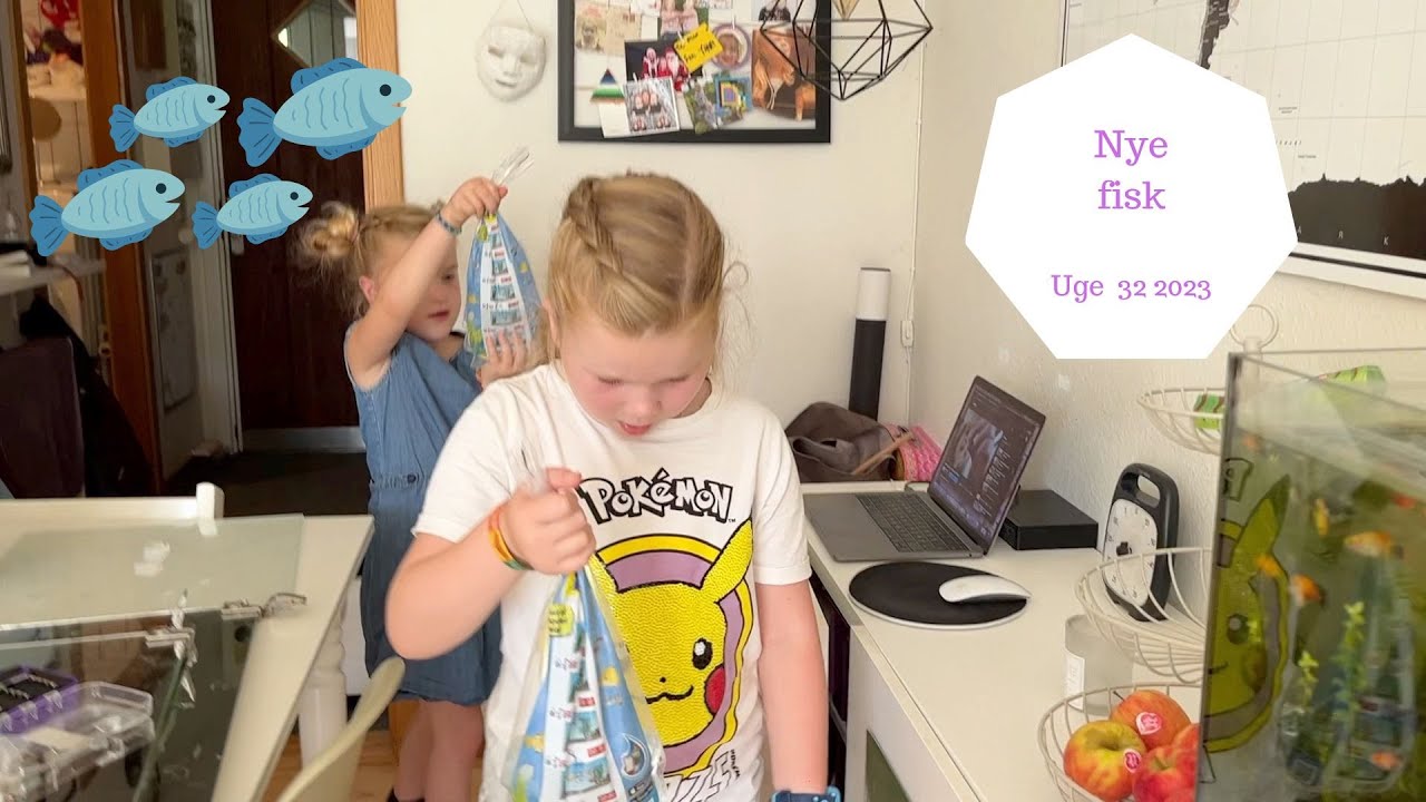 VI FÅR NYE FISK I VORES AKVARIE