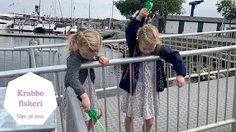 TUR PÅ HAVNEN - KRABBEFISKERI OG IS