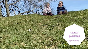 VI TRILLER PÅSKEÆG - MON ÆGGENE KAN HOLDE?