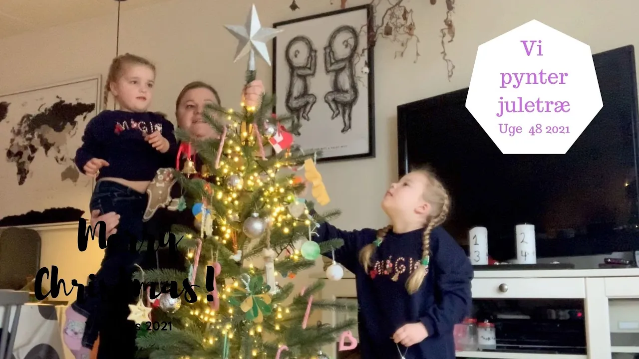 VI PYNTER VORES JULETRÆ