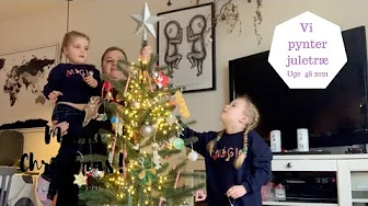 VI PYNTER VORES JULETRÆ