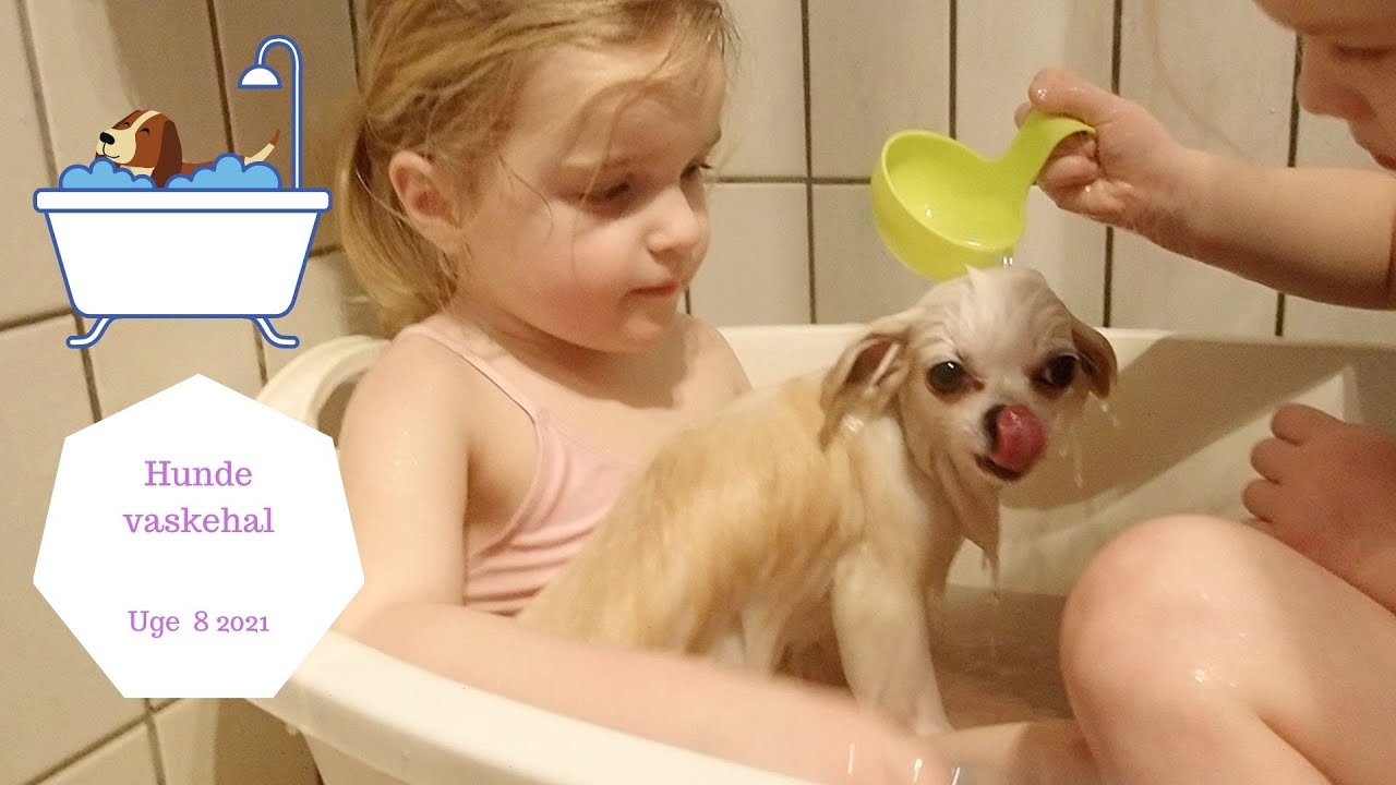 PIGERNE BADER VORES HUND, COCO