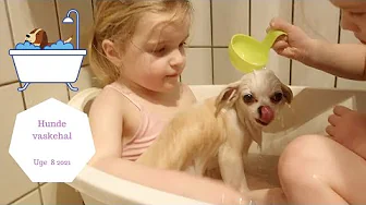 PIGERNE BADER VORES HUND, COCO