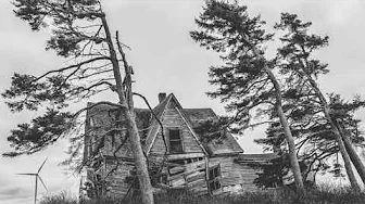 WHITE NOISE ASMR - WIND BLOWING - CALMING WAY TO FALL ASLEEP