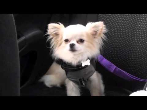 Back to the hospital