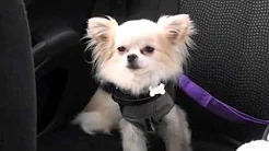 Back to the hospital