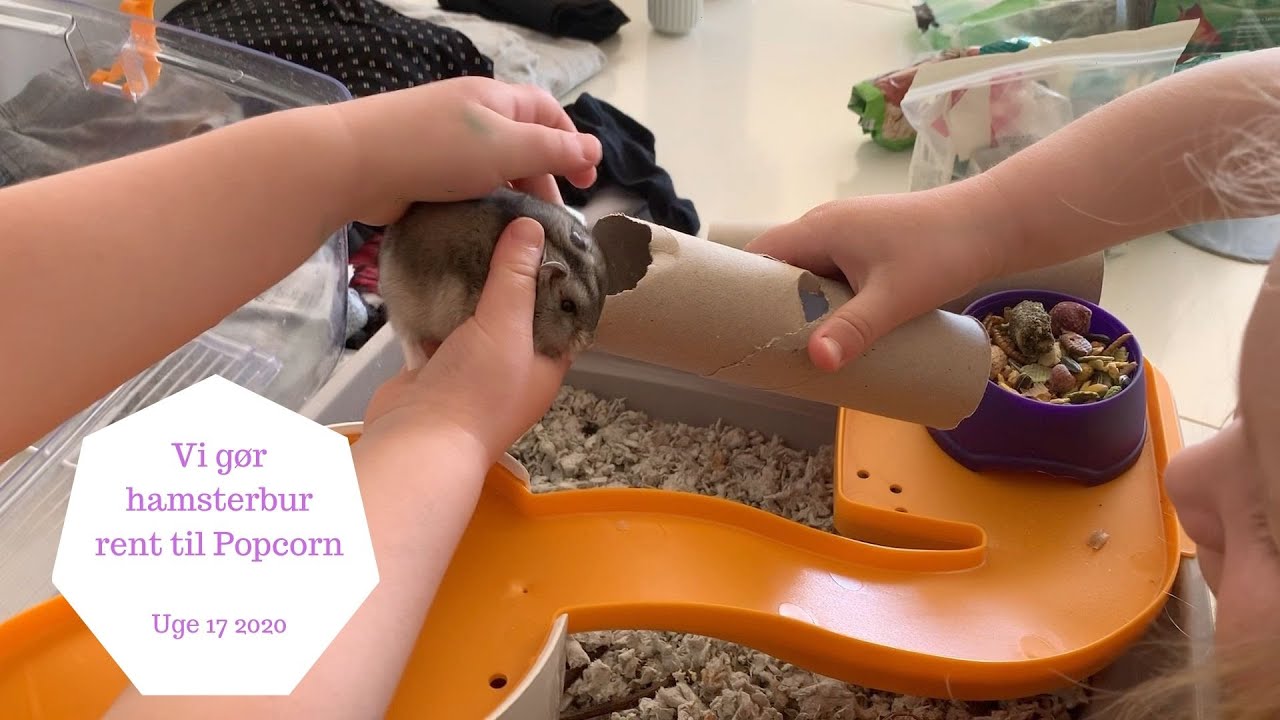 VI GØR HAMSTERBUR RENT TIL POPCORN