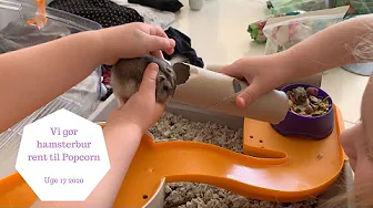 VI GØR HAMSTERBUR RENT TIL POPCORN