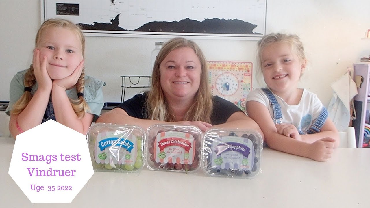 SMAGS TEST DE POPULÆRE VINDRUER
