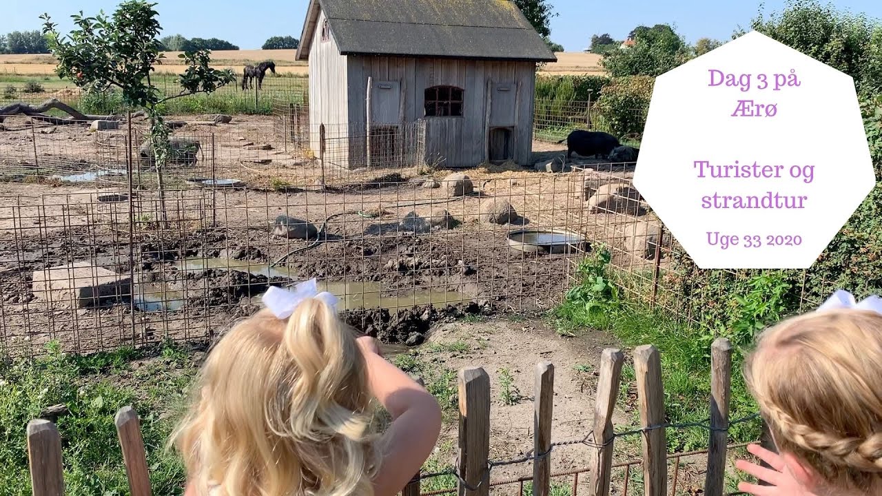 DAG 3 PÅ ÆRØ - TURISTER I ÆRØSKØBING OG STRANDTUR