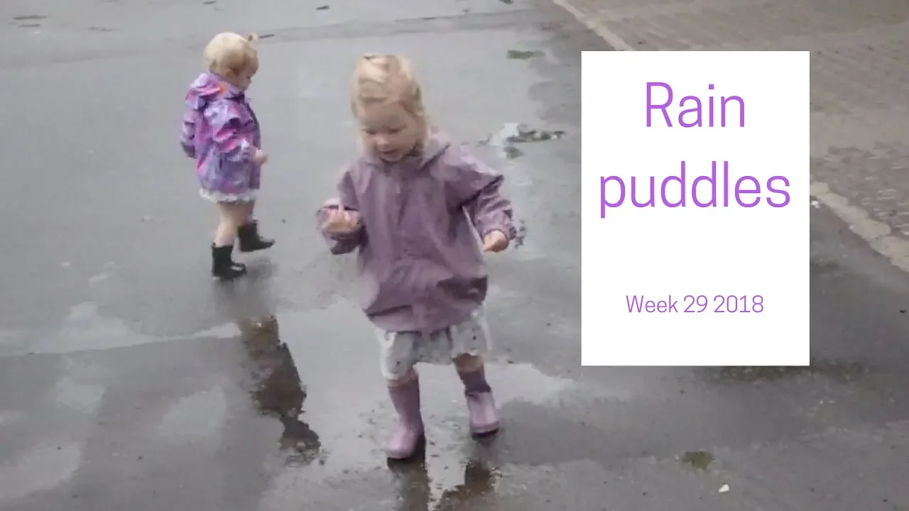 Rain puddles