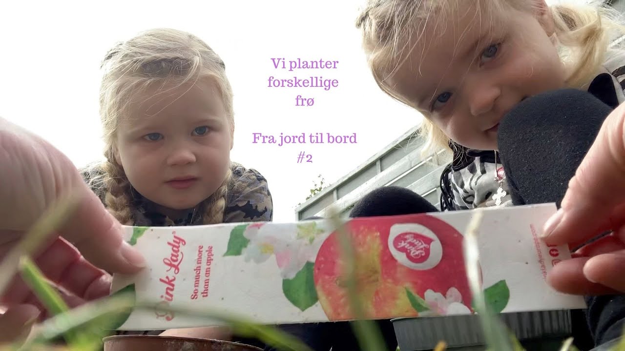 VI PLANTER FORSKELLIGE PLANTER - FRA JORD TIL BORD #2