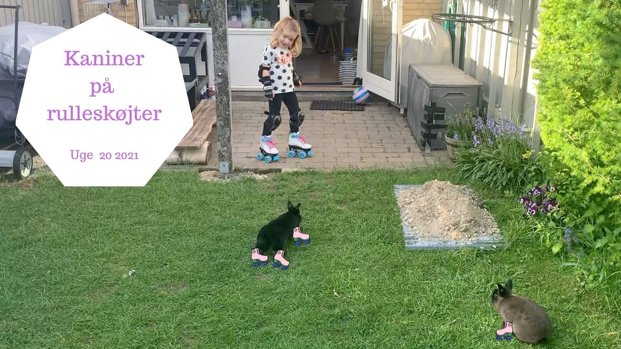 RULLESKØJTER OG KANINER