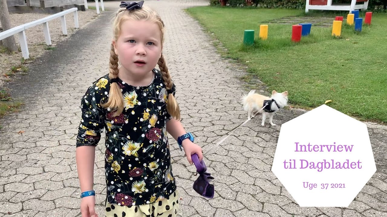 BLIVER INTERVIEWET OM FUGLE ANGREBET