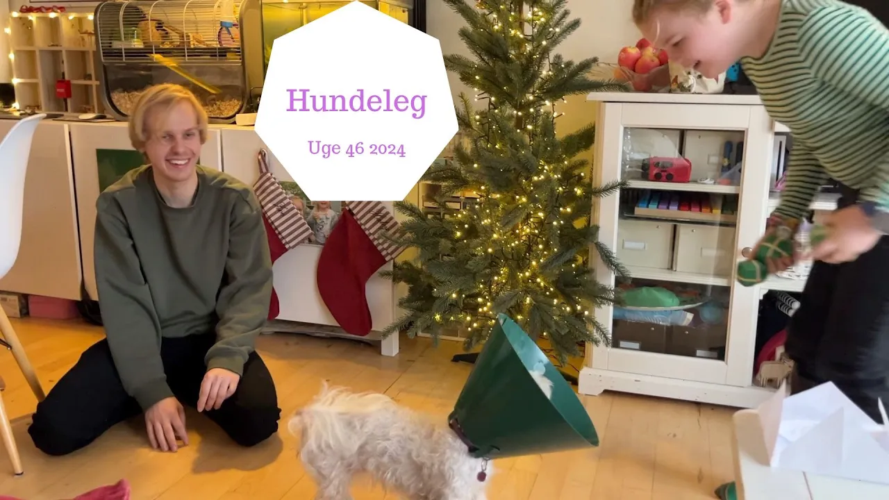 Sjov leg med Hundene