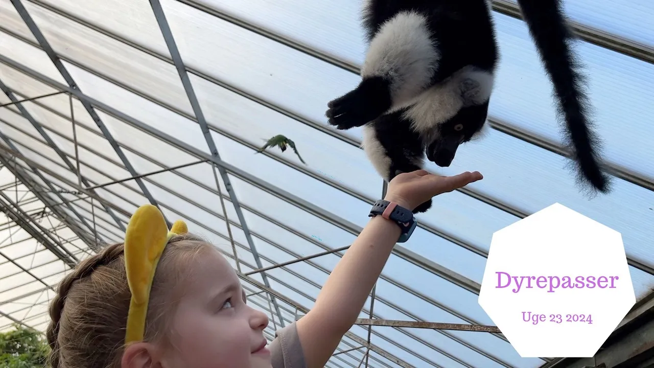 VI FODRE DYRENE I JESPERHUS