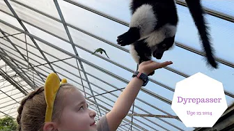 VI FODRE DYRENE I JESPERHUS