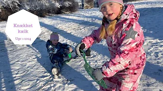 KÆLKETUR MED KÆLKEN KNÆKKER