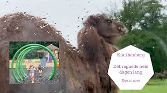 KNUTHENBORGS TUR - DET REGNEDE HELE DAGEN LANG - OG DER KOM MEGET REGN