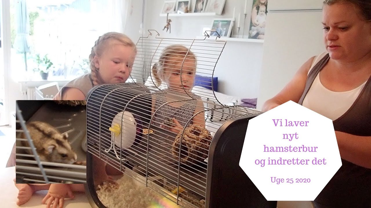 VI SAMLER NYT HAMSTERBUR OG INDRETTER DET