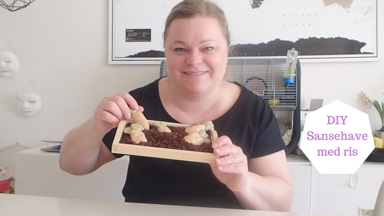 DIY SANSEHAVE MED RIS