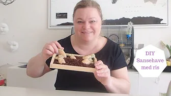 DIY SANSEHAVE MED RIS