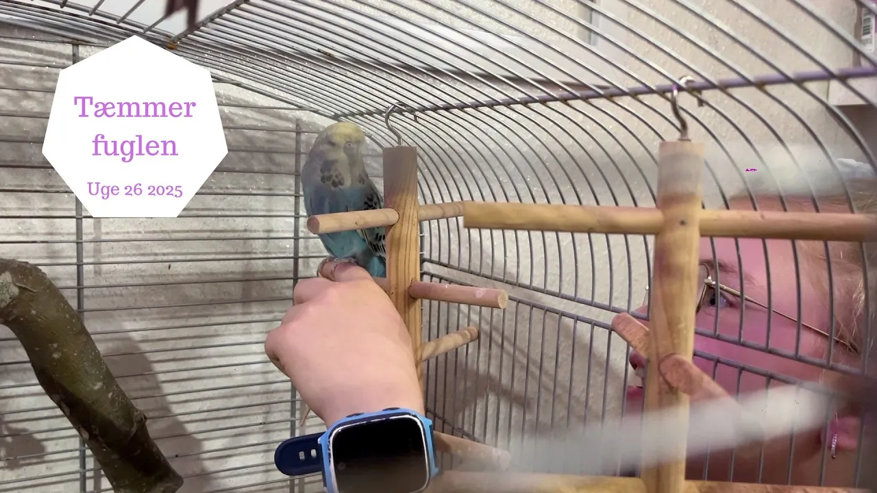 Kan Haley få hendes fugl til at Sidde på hendes FINGER