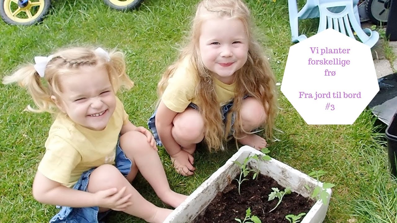 FRA JORD TIL BORD #3