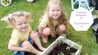 FRA JORD TIL BORD #3