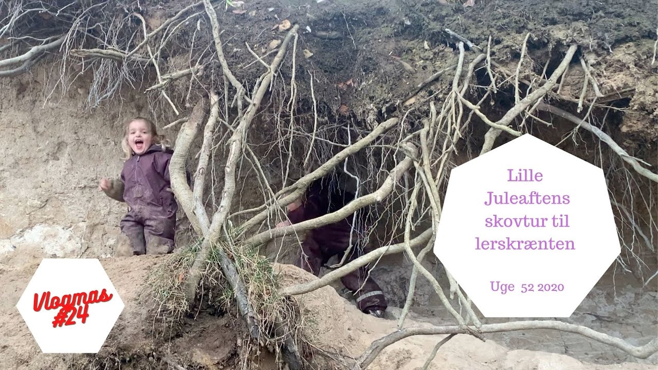 LILLE JULEAFTENS SKOVTUR TIL LERSKRÆNTEN