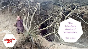 LILLE JULEAFTENS SKOVTUR TIL LERSKRÆNTEN