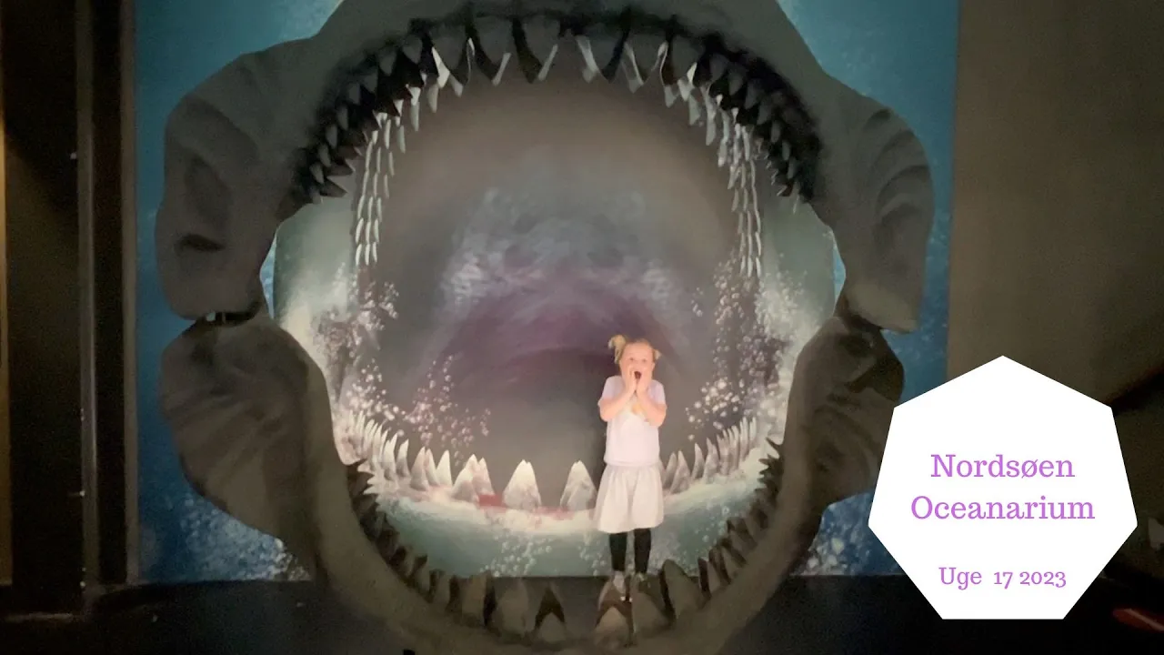 VI BLIVER SPIST AF EN HAJ PÅ NORDSØEN OCEANARIUM