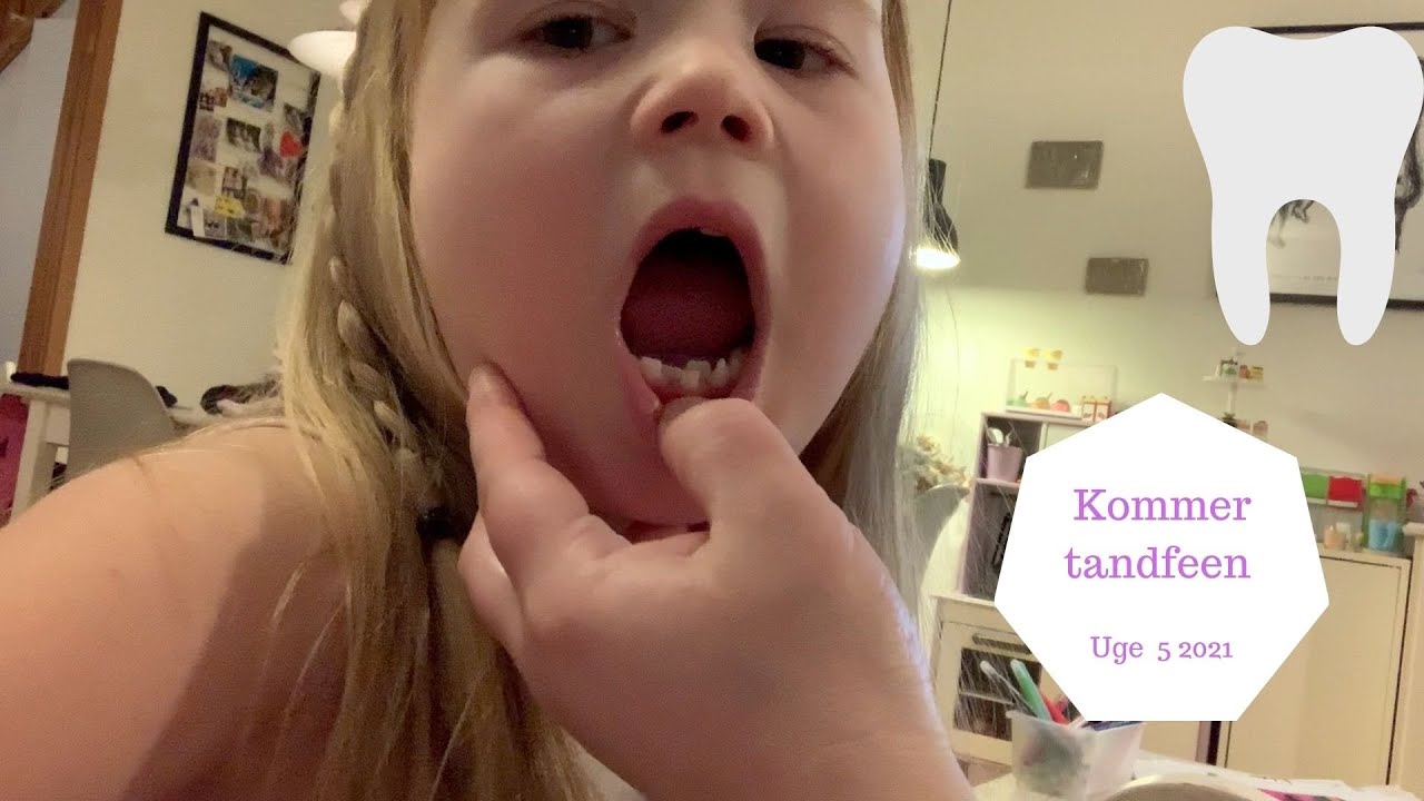 KAN VI FÅ ZOES 3. ROKKETAND UD?