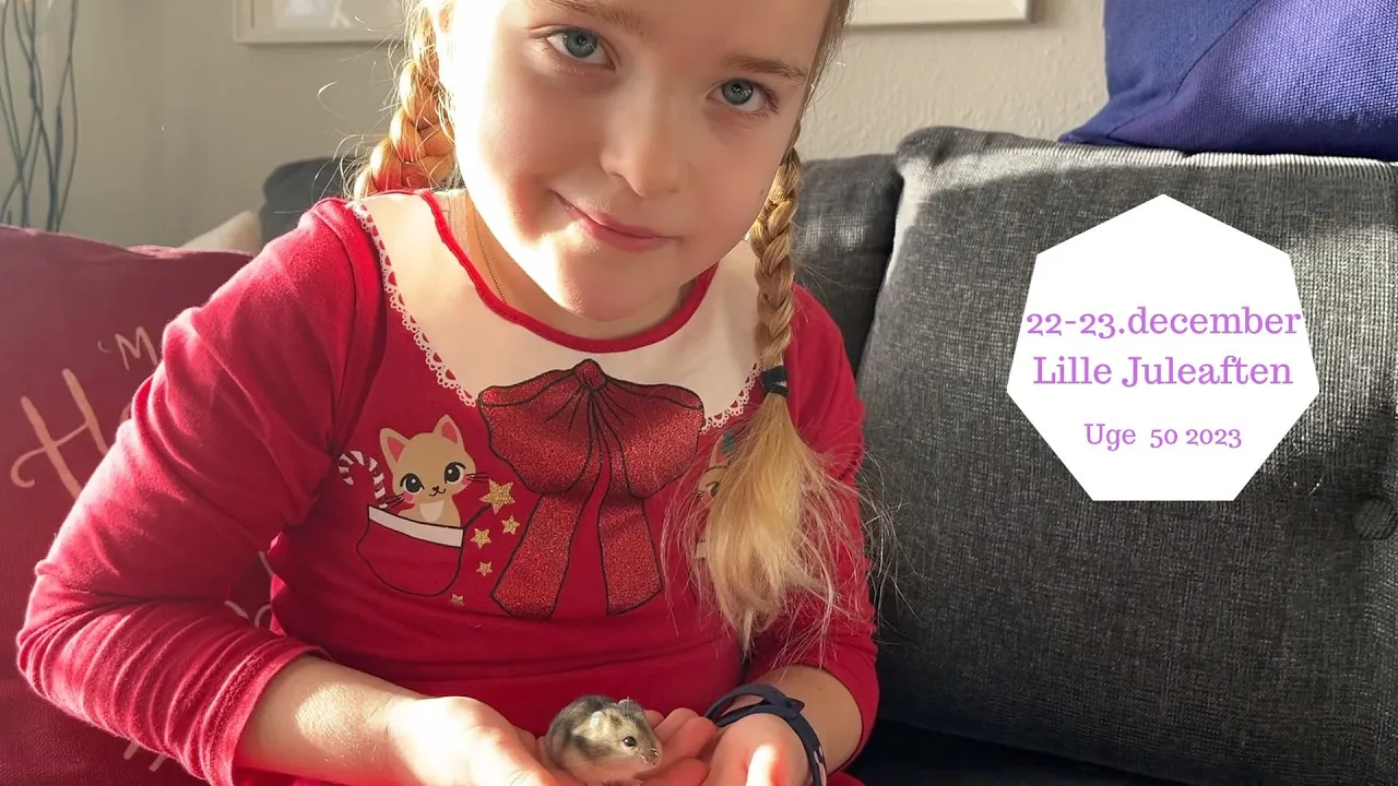 22-23. DECEMBER LILLE JULEAFTEN - HVAD ER VORES HAMSTERE?