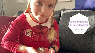 22-23. DECEMBER LILLE JULEAFTEN - HVAD ER VORES HAMSTERE?