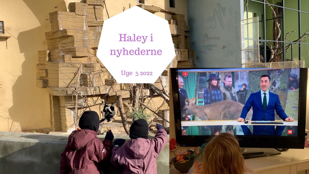ZOO TUR - KOMMER HALEY I NYHEDERNE