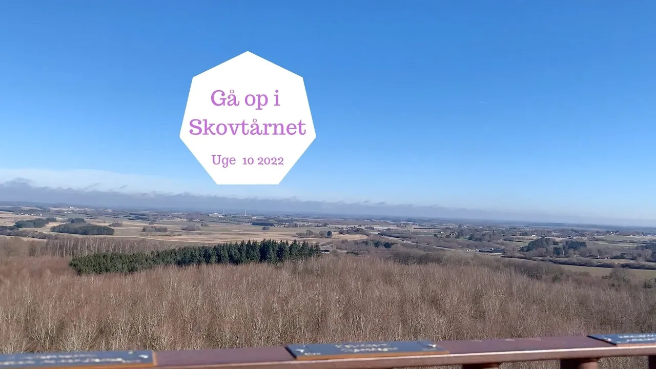 GÅ MED OP I SKOVTÅRNET
