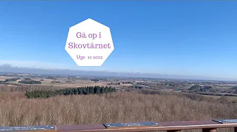 GÅ MED OP I SKOVTÅRNET