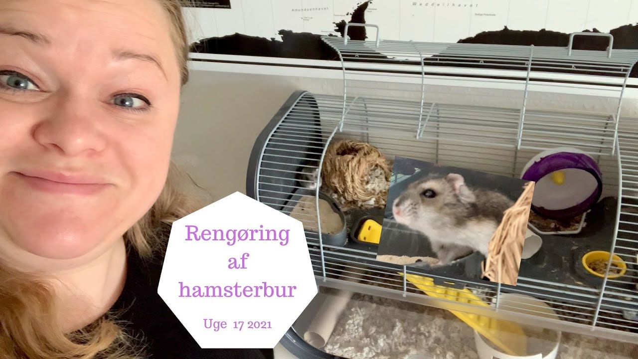 SÅDAN RENGØRER JEG MIT HAMSTERBURUGE