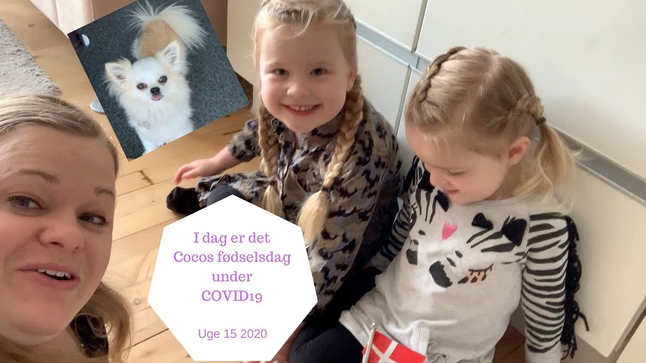 HUNDE FØDSELSDAG under COVID19 - I dag er det Cocos fødselsdag