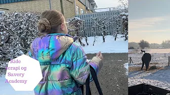 Første gang - Ride terapi og Savery Academy